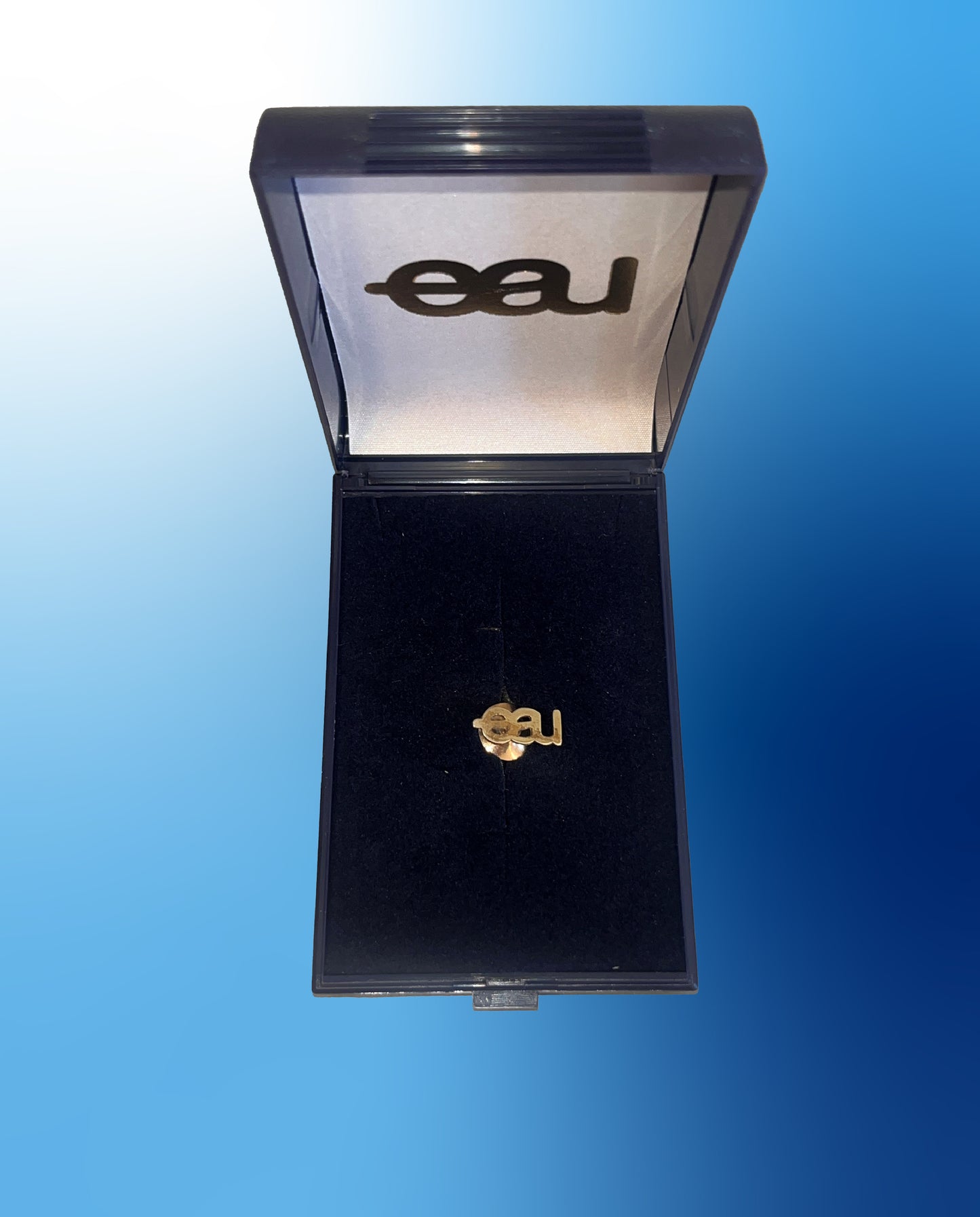 Limited edition: Gilded EAU pin