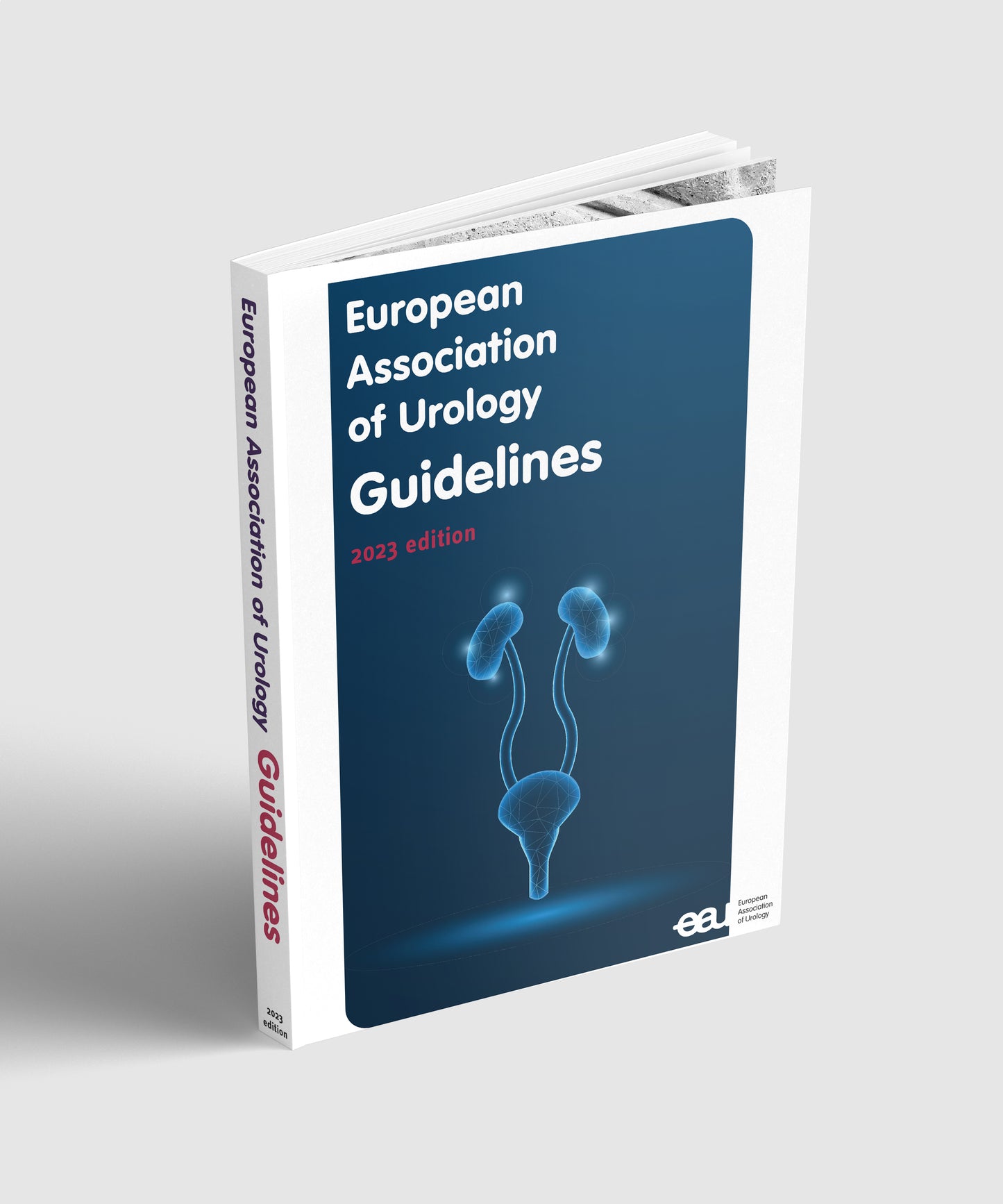 Pocket Guidelines 2024